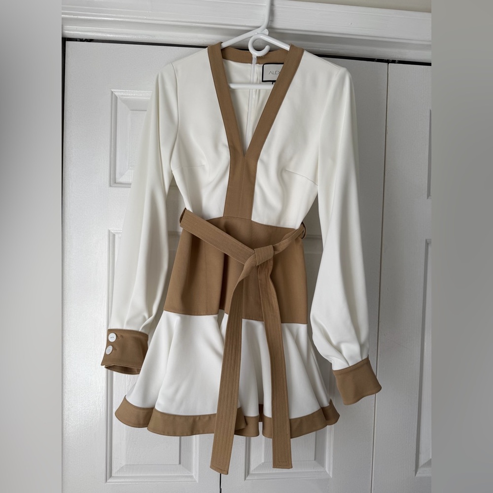 Alexis Mini Dress